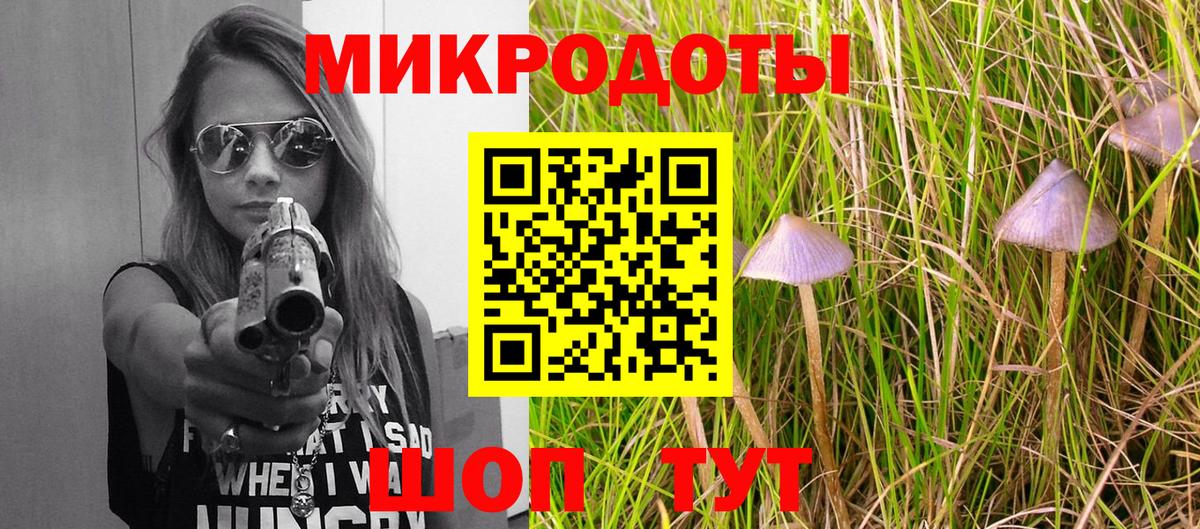 Галлюциногенные грибы ЛСД Котовск